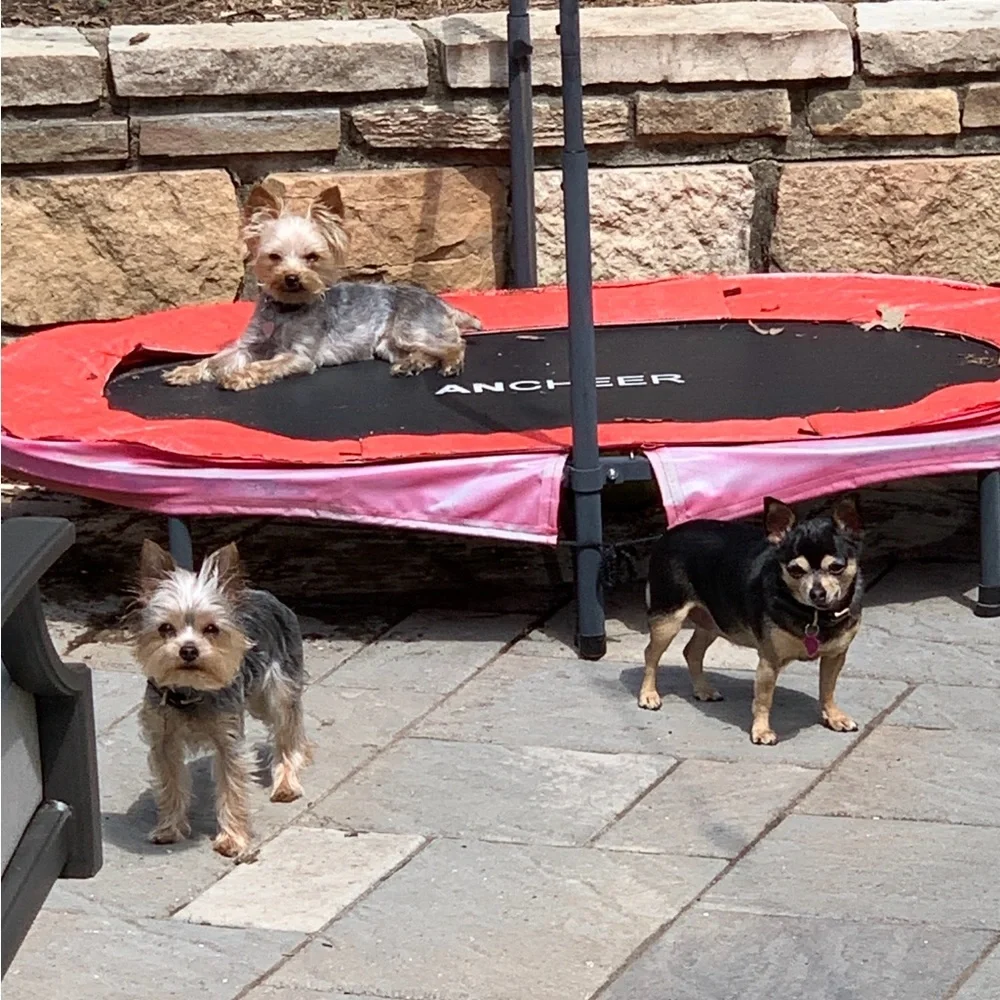 MMKOLLECTION IS LIVE!! Like to be notified when I go live! - Picture 7 of 8